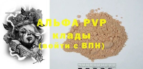 гидра Каменка