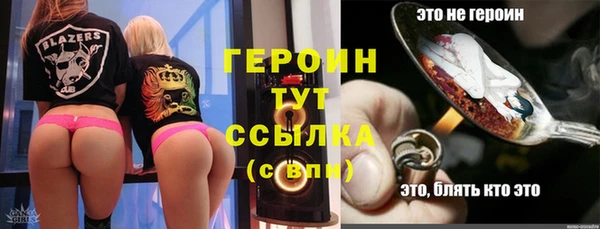 прущие грибы Инта