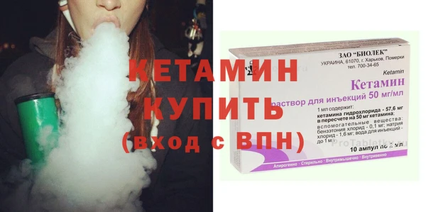 гидра Каменка