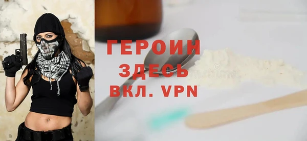 гидра Каменка