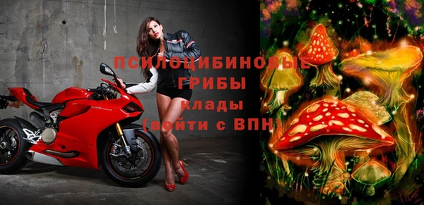 МДПВ Карталы