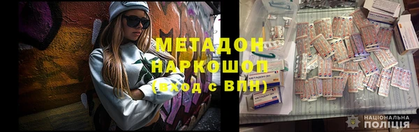 прущие грибы Инта