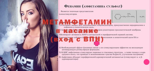 прущие грибы Инта